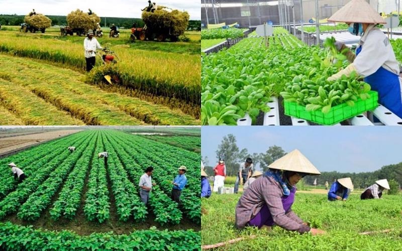 Huy động mọi nguồn lực thực hiện hiệu quả phát triển kinh tế tập thể, hợp tác xã