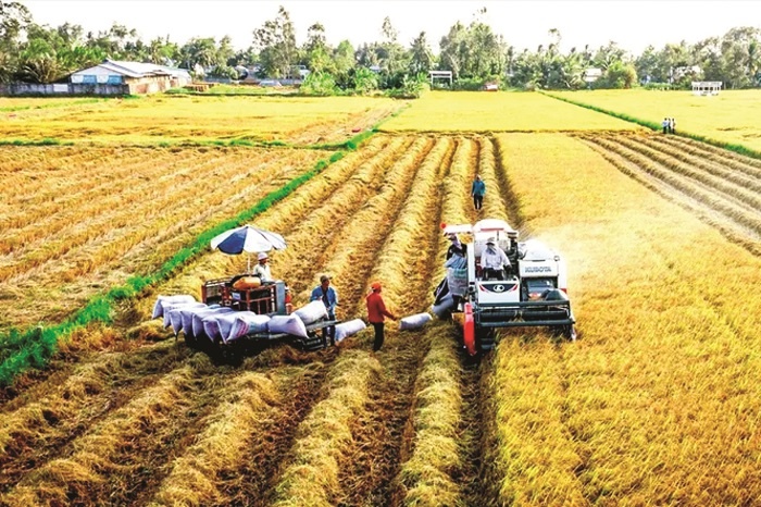 ABIC hiện đang cung cấp các sản phẩm bảo hiểm cho khu vực nông nghiệp, nông dân và nông thôn