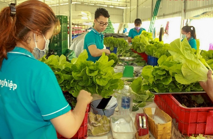 Chính sách hỗ trợ HTX cần gắn với nguồn lực thực hiện và cơ chế kiểm soát Chính sách hỗ trợ HTX cần gắn với nguồn lực thực hiện và cơ chế kiểm soát