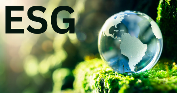 Văn hóa đa dạng, bình đẳng và bao trùm: Thành tố quan trọng trong phát triển bền vững ESG