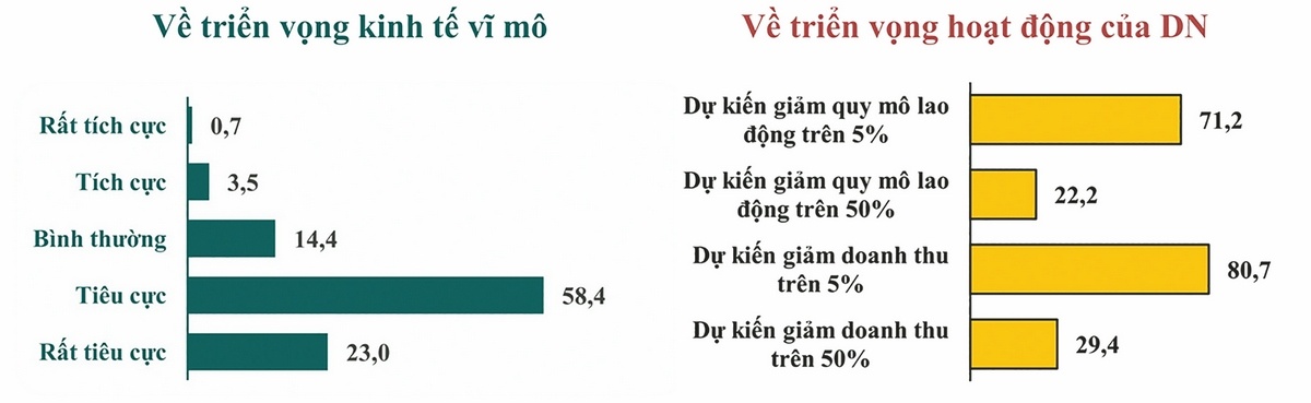 Kết quả khảo sát 9.556 doanh nghiệp về triển vọng đến cuối năm 2023, theo % số doanh nghiệp trả lời khảo sát  (Nguồn: Ban IV, Viện Đào tạo và Nghiên cứu BIDV tổng hợp)