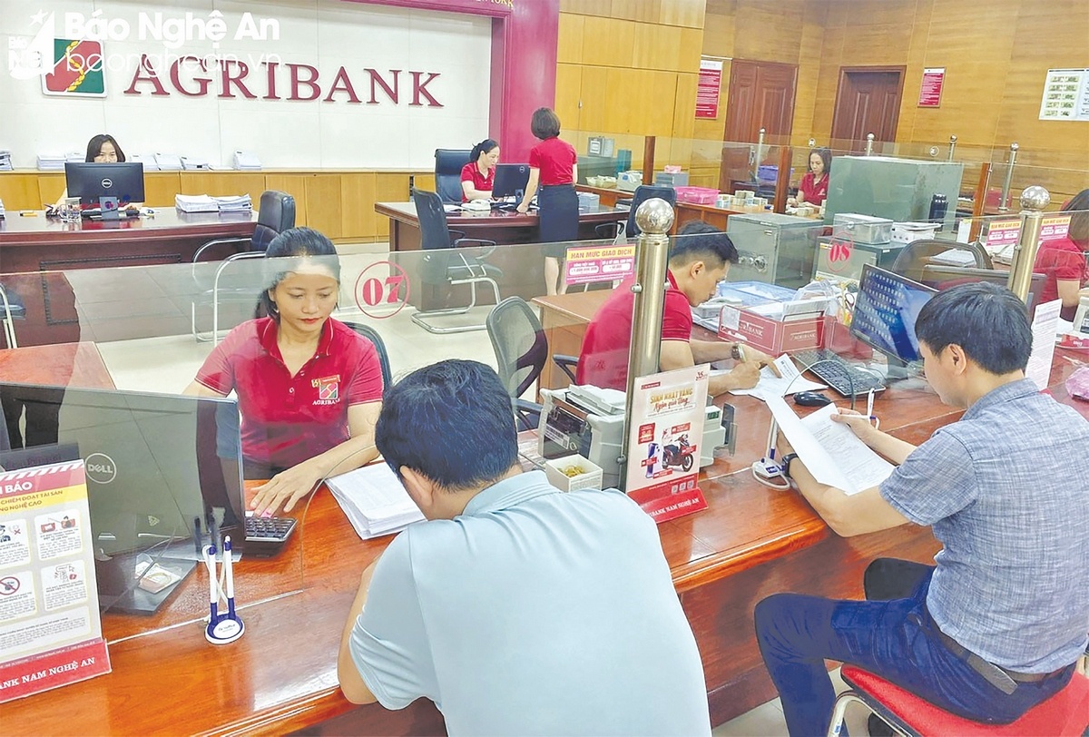 70% tổng dư nợ của Agribank dành cho tam nông