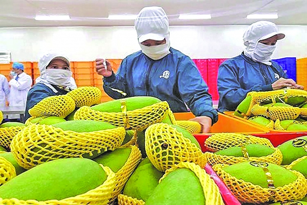 Đã đến lúc các doanh nghiệp phải chú ý đến xuất khẩu xanh