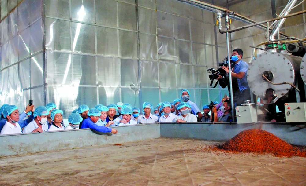 Nông nghiệp tiếp tục thể hiện vai trò trụ đỡ của nền kinh tế Nông nghiệp tiếp tục thể hiện vai trò trụ đỡ của nền kinh tế