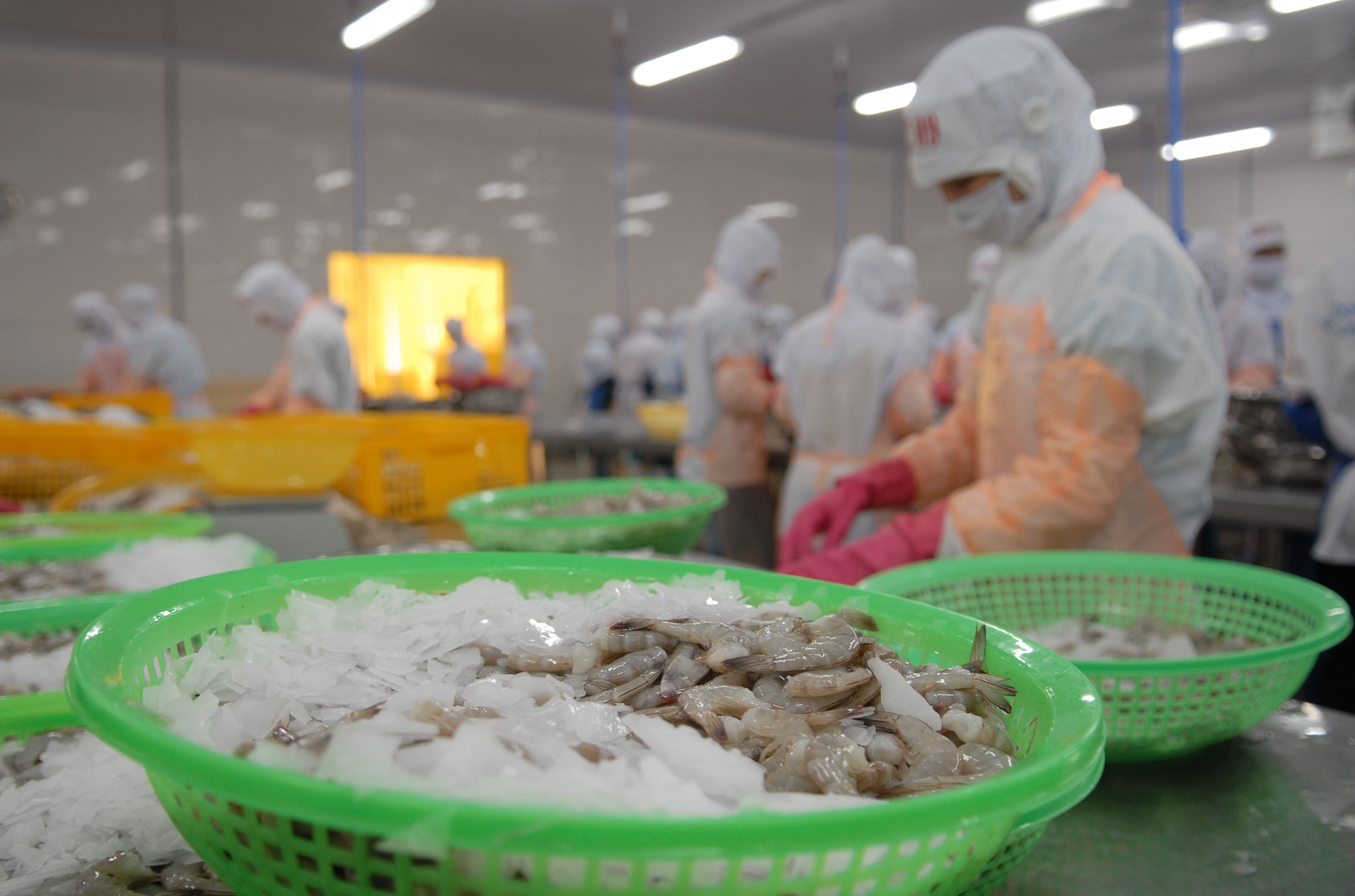 Hoạt động xuất khẩu của các doanh nghiệp vẫn chưa phục hồi do nhu cầu thế giới suy giảm - Ảnh: Đ.Hải