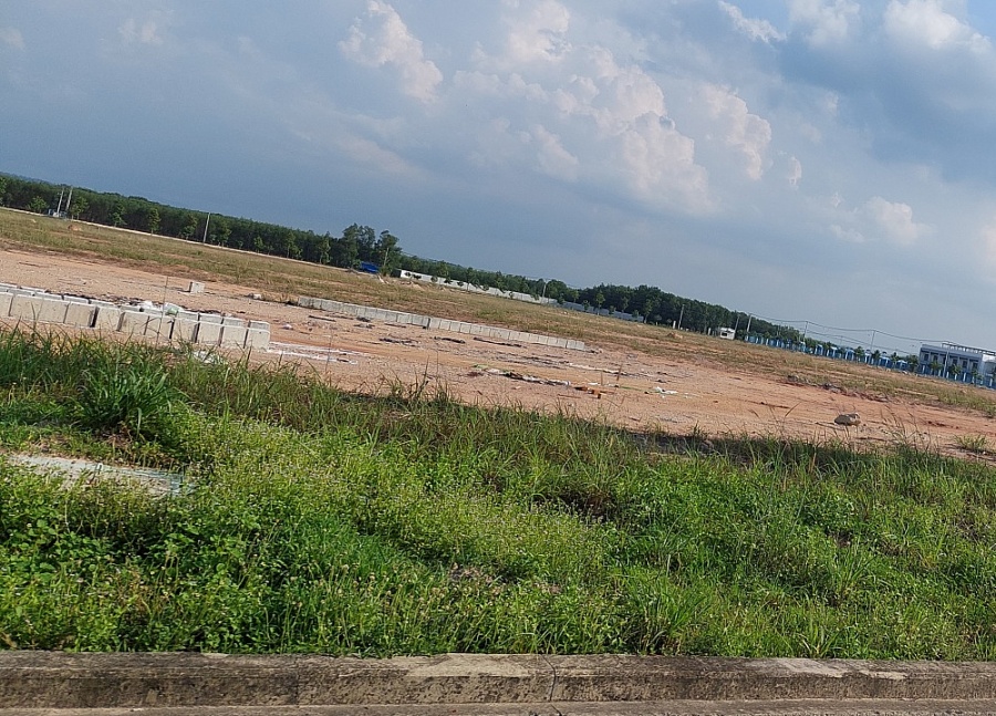 Thị trường căn hộ và đất nền có thể khởi sắc tại vùng phụ cận TP.HCM