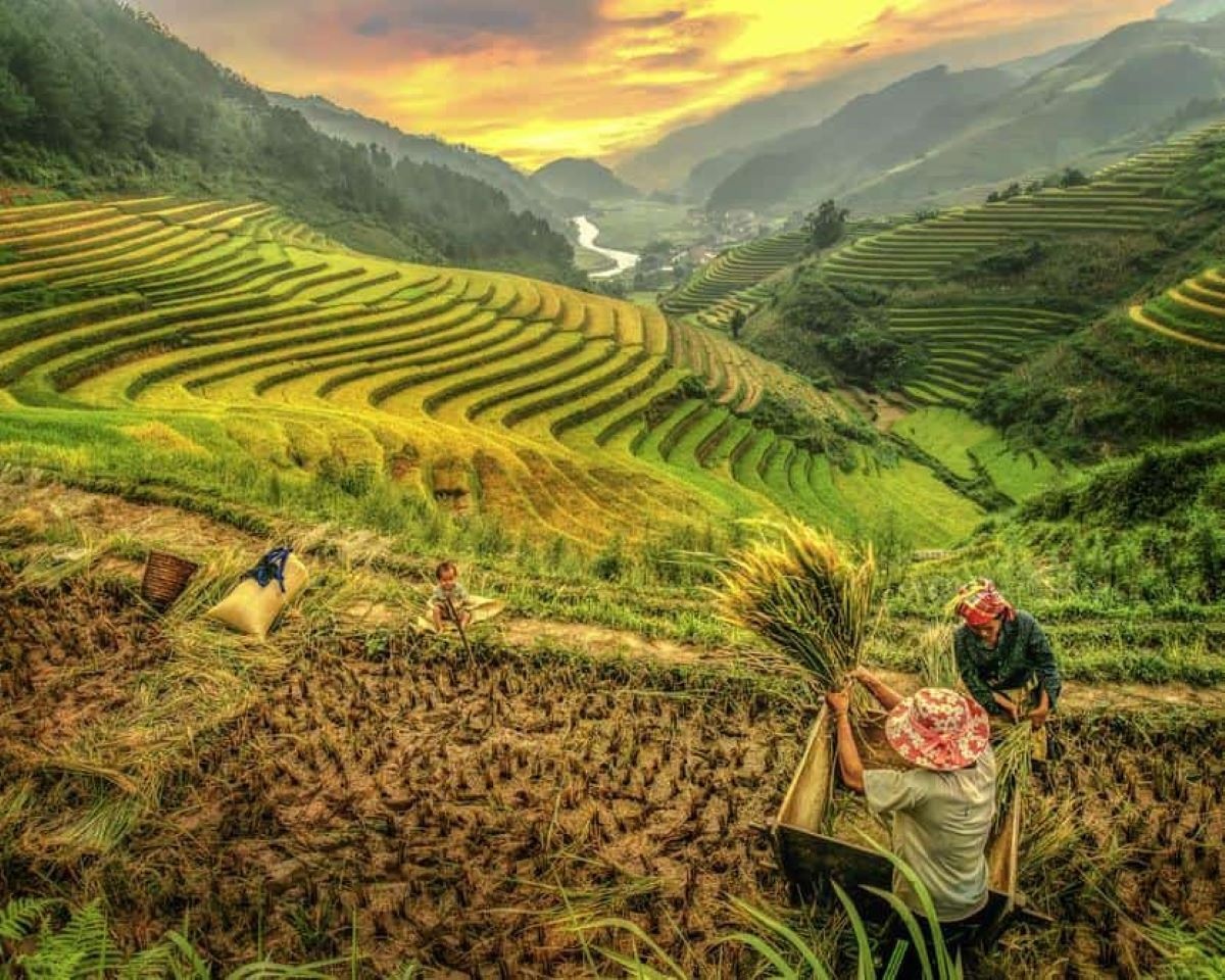 Một số mô hình du lịch nông thôn tại Lai Châu đã được đưa vào khai thác, kết hợp cùng người dân địa phương để tạo ra những giá trị, trải nghiệm mới cho du khách. Một số mô hình du lịch nông thôn tại Lai Châu đã được đưa vào khai thác, kết hợp cùng người dân địa phương để tạo ra những giá trị, trải nghiệm mới cho du khách.