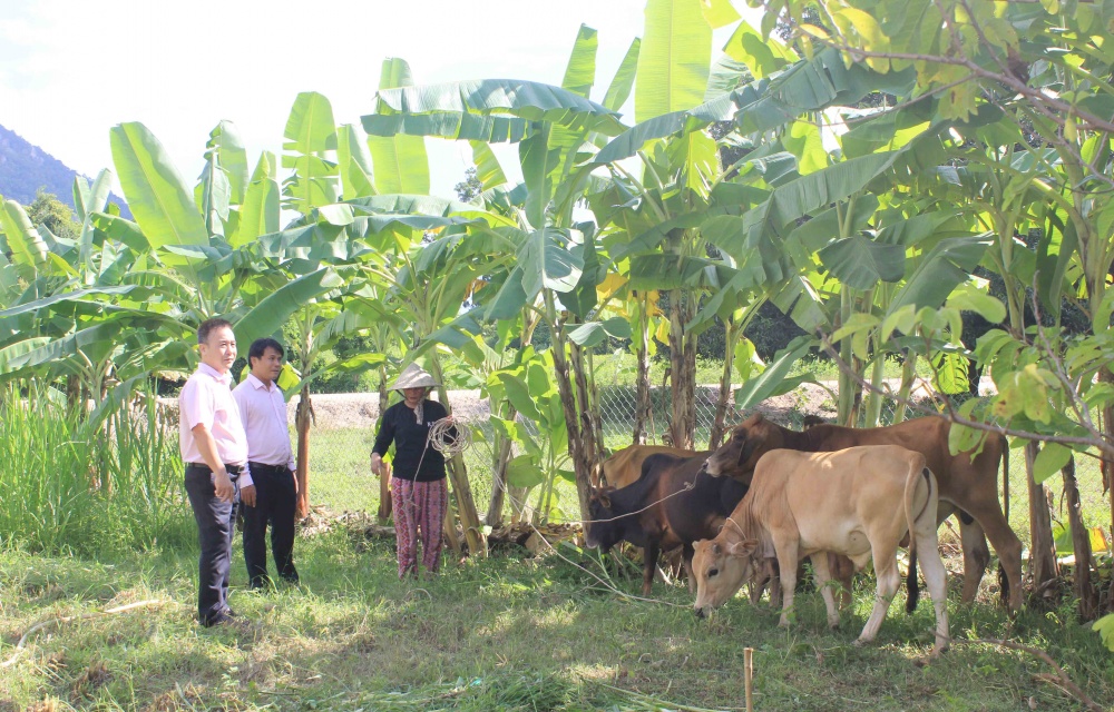 Ninh Thuận: Hơn 16 nghìn lượt hộ nghèo, cận nghèo, đối tượng chính sách được vay vốn tín dụng ưu đãi