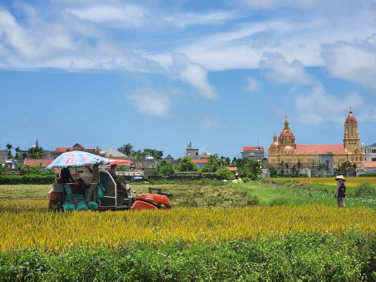 Cả nước có 6.022/8.177 xã (73,65%) đạt chuẩn nông thôn mới.