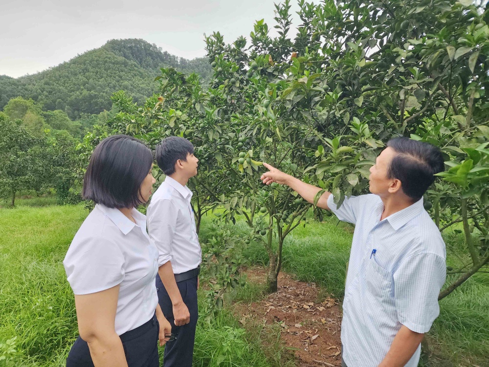 Hà Tĩnh triển khai gói tín dụng 15.000 tỷ đồng Hà Tĩnh triển khai gói tín dụng 15.000 tỷ đồng