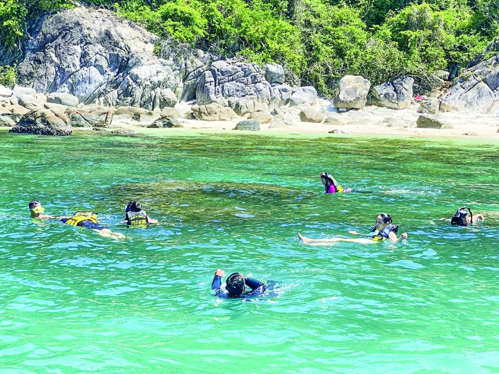 Du khách trải nghiệm vườn ươm san hô tại đảo Cù Lao Chàm Du khách trải nghiệm vườn ươm san hô tại đảo Cù Lao Chàm