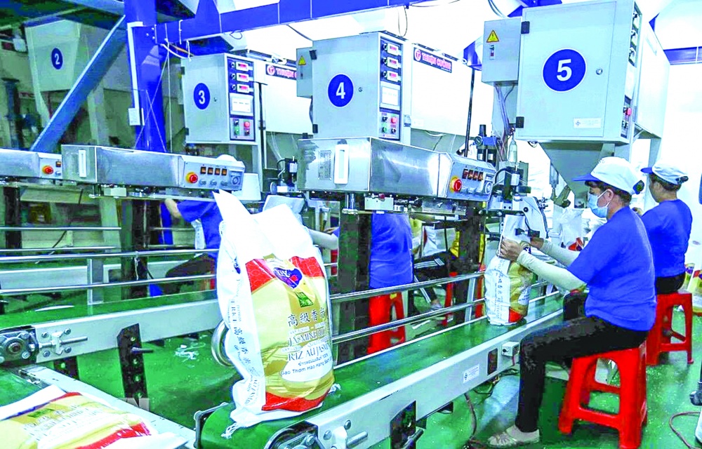 Các doanh nghiệp xuất khẩu gạo rất cần sự hỗ trợ trong thời điểm hiện tại Các doanh nghiệp xuất khẩu gạo rất cần sự hỗ trợ trong thời điểm hiện tại