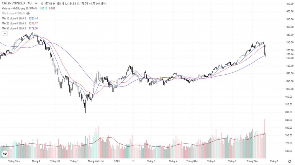Cổ phiếu ngân hàng tăng mạnh, VN-Index đóng cửa tăng 1,77 điểm