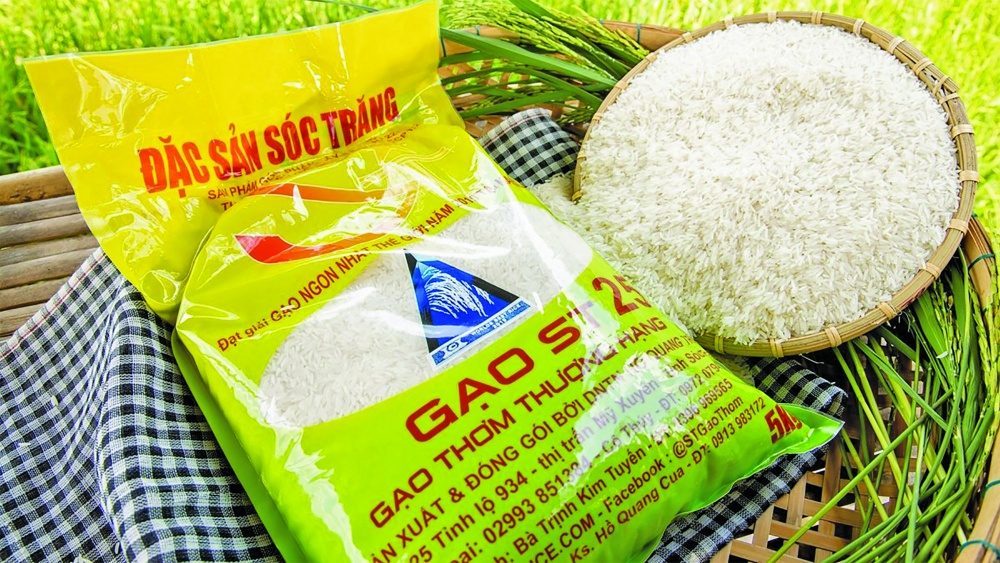 Gạo đặc sản ST25 của Việt Nam
