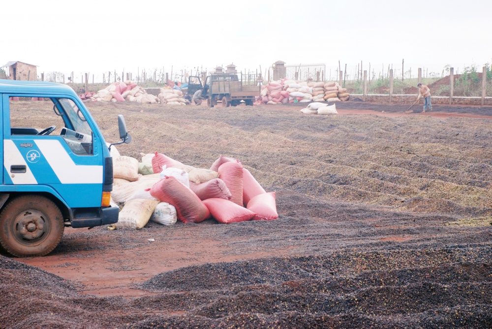 Kon Tum tích cực hỗ trợ doanh nghiệp tháo gỡ khó khăn