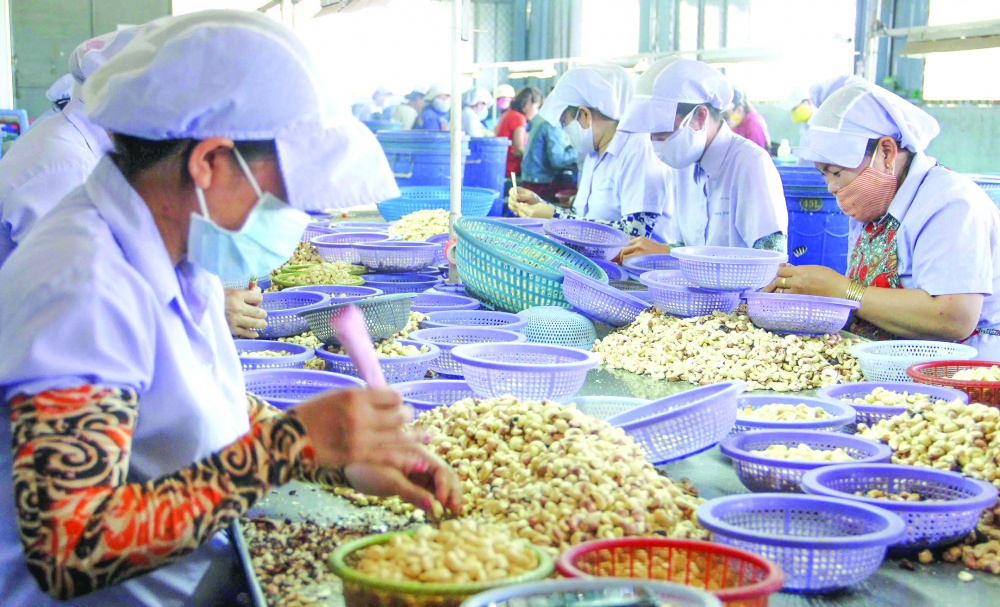 Ngành Ngân hàng trên địa bàn Ninh Thuận đang nỗ lực đồng hành với doanh nghiệp Ngành Ngân hàng trên địa bàn Ninh Thuận đang nỗ lực đồng hành với doanh nghiệp