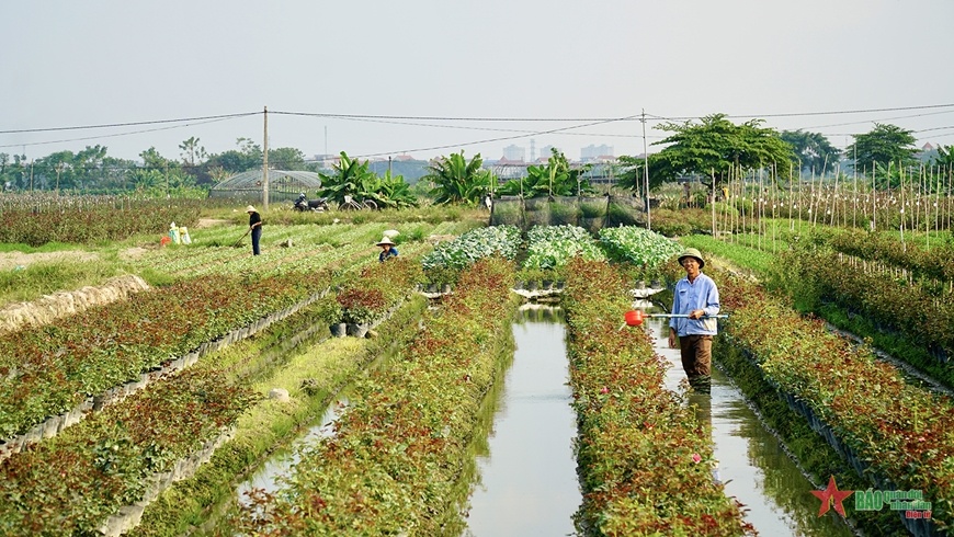 Hà Nội khuyến khích chính sách phát triển nông nghiệp