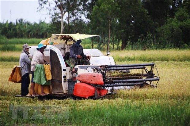 Chiến lược Phát triển Ngành nghề Nông thôn đến năm 2030, tầm nhìn 2045 | Kinh tế | Vietnam+ (VietnamPlus)