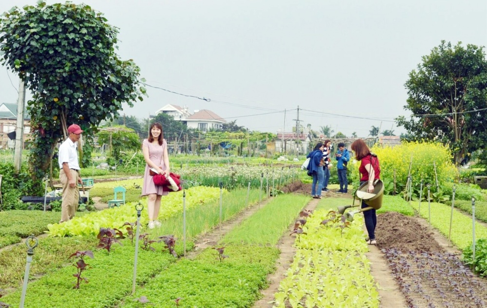 Phát triển nông nghiệp bền vững gắn với du lịch nông thôn