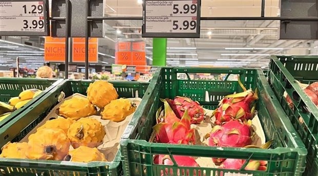 IMF: Xung đột Hamas-Israel có nguy cơ thổi bùng lạm phát | Kinh doanh | Vietnam+ (VietnamPlus)