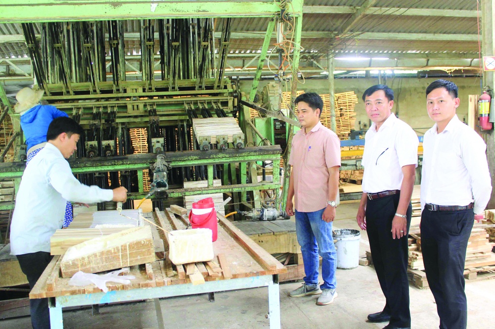 Mối quan hệ giữa ngân hàng và doanh nghiệp trên địa bàn Phú Yên đang được đẩy mạnh