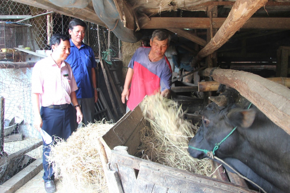 từ nguồn vốn ưu đãi này, nhiều hộ gia đình vùng đồng bào dân tộc thiểu số và miền núi ở Phú Yên đã có cơ hội thoát nghèo vươn lên trong cuộc sống