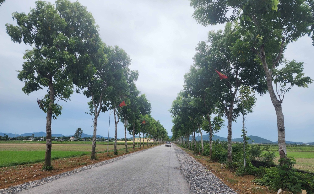 Hà Tĩnh: Hơn 95 tỷ đồng hỗ trợ xây dựng nông thôn mới Hà Tĩnh: Hơn 95 tỷ đồng hỗ trợ xây dựng nông thôn mới