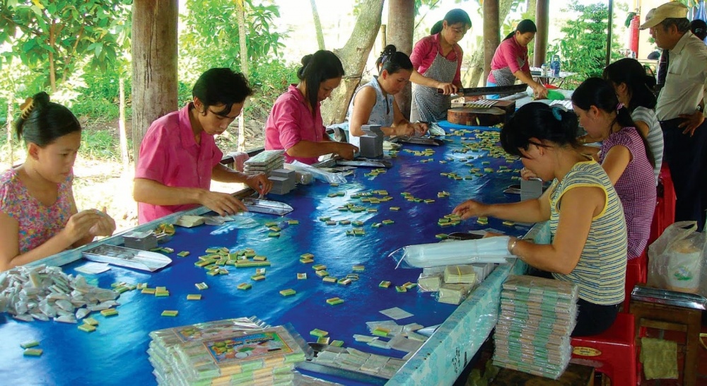 Bến Tre: Ngân hàng đồng hành hỗ trợ kinh tế tập thể