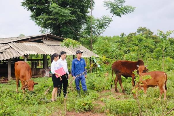 Agribank Quảng Trị đồng hành cùng địa phương trong xây dựng nông thôn mới