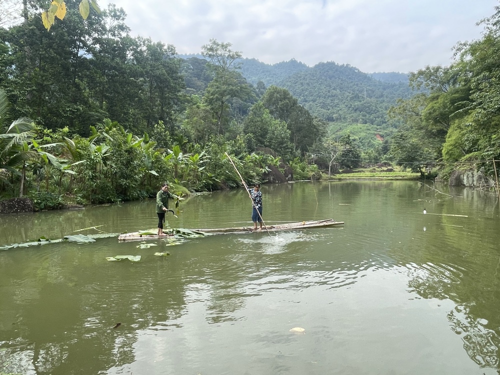 Ngân hàng “kim, chỉ”…