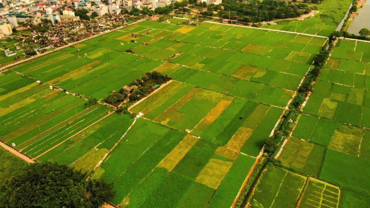 Việc thống kê diện tích đất đai được thực hiện và báo cáo trên phần mềm thống kê, kiểm kê đất đai của Bộ Tài nguyên và Môi trường.