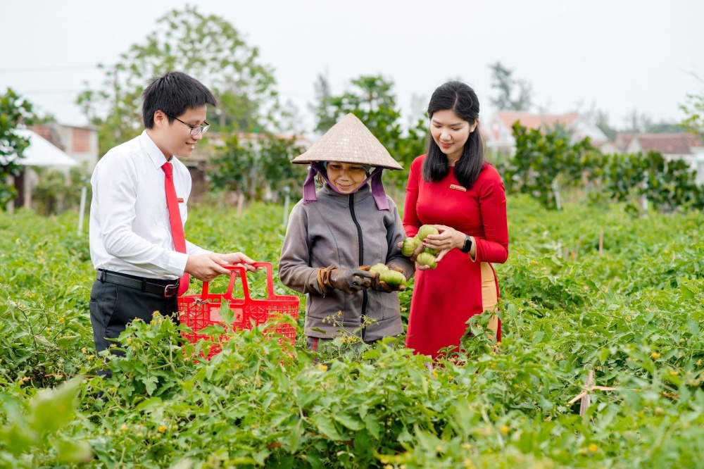 Cho vay tam nông ở Quảng Ngãi.
