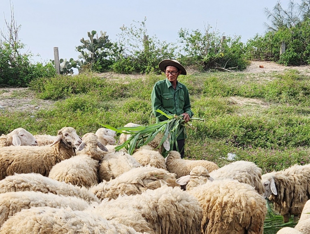 các hộ sau khi được vay vốn được chính quyền địa phương, hội, đoàn thể nhận ủy thác hướng dẫn sử dụng vốn đúng mục đích, kết hợp với các chương trình khuyến nông, chuyển giao khoa học - kỹ thuật