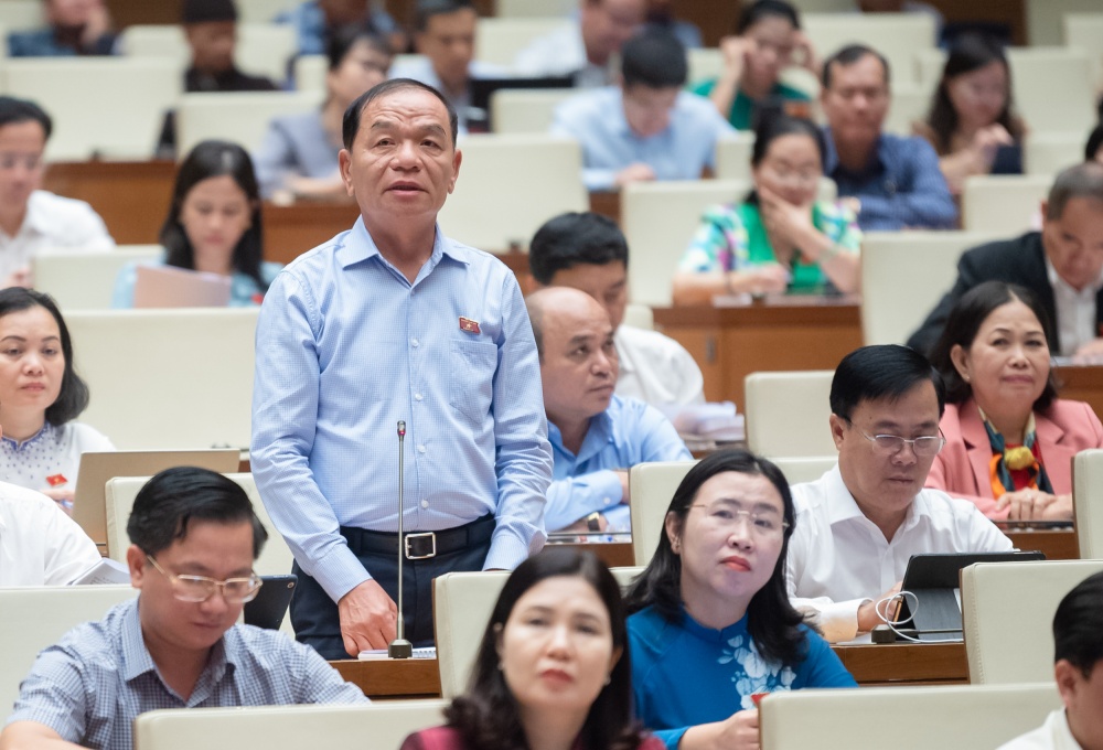 Đại biểu Lê Thanh Vân