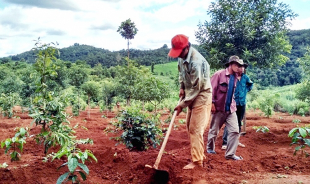 Kon Tum: Tiền gửi tăng trưởng ổn định, tín dụng tăng thấp