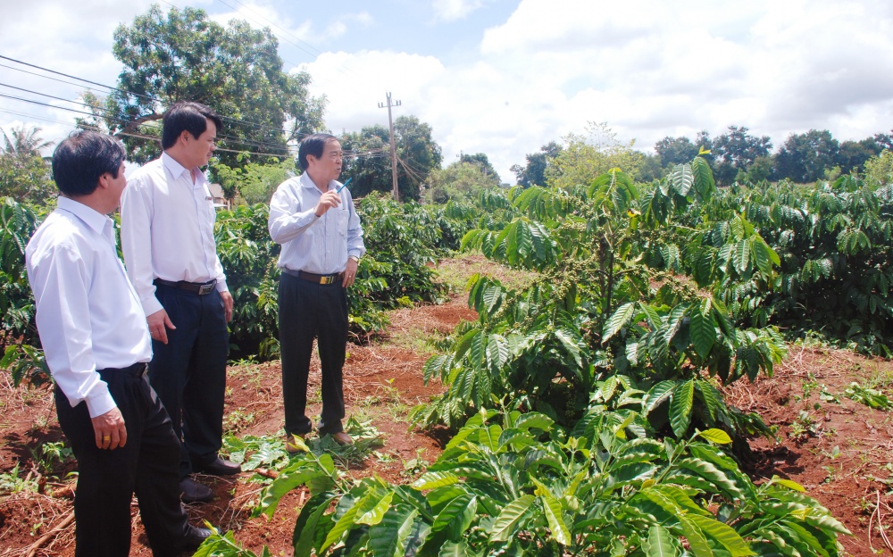 Đầu tư cho nông nghiệp, hướng đi mang lại hiệu quả