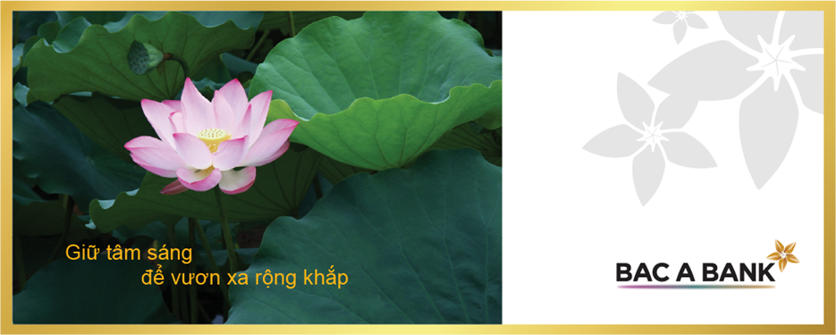 Ngân hàng thương mại cổ phần Bắc Á thông báo khai trương hoạt động Phòng giao dịch Hải Hậu - Chi nhánh Nam Định