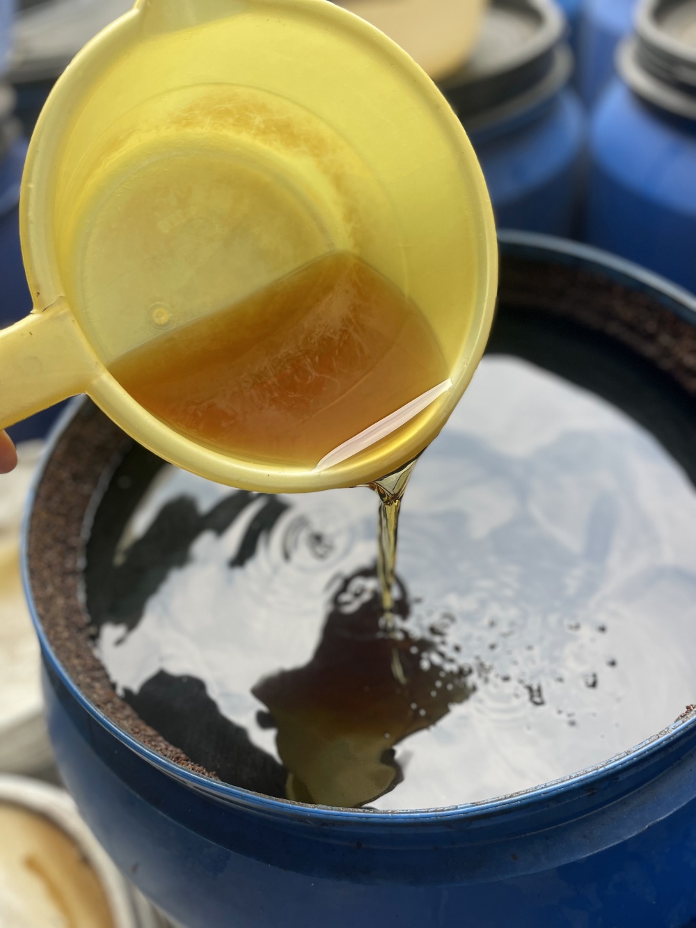 Đồng vốn NHCSXH là động lực để người dân vươn lên làm giàu chính đáng Đồng vốn NHCSXH là động lực để người dân vươn lên làm giàu chính đáng