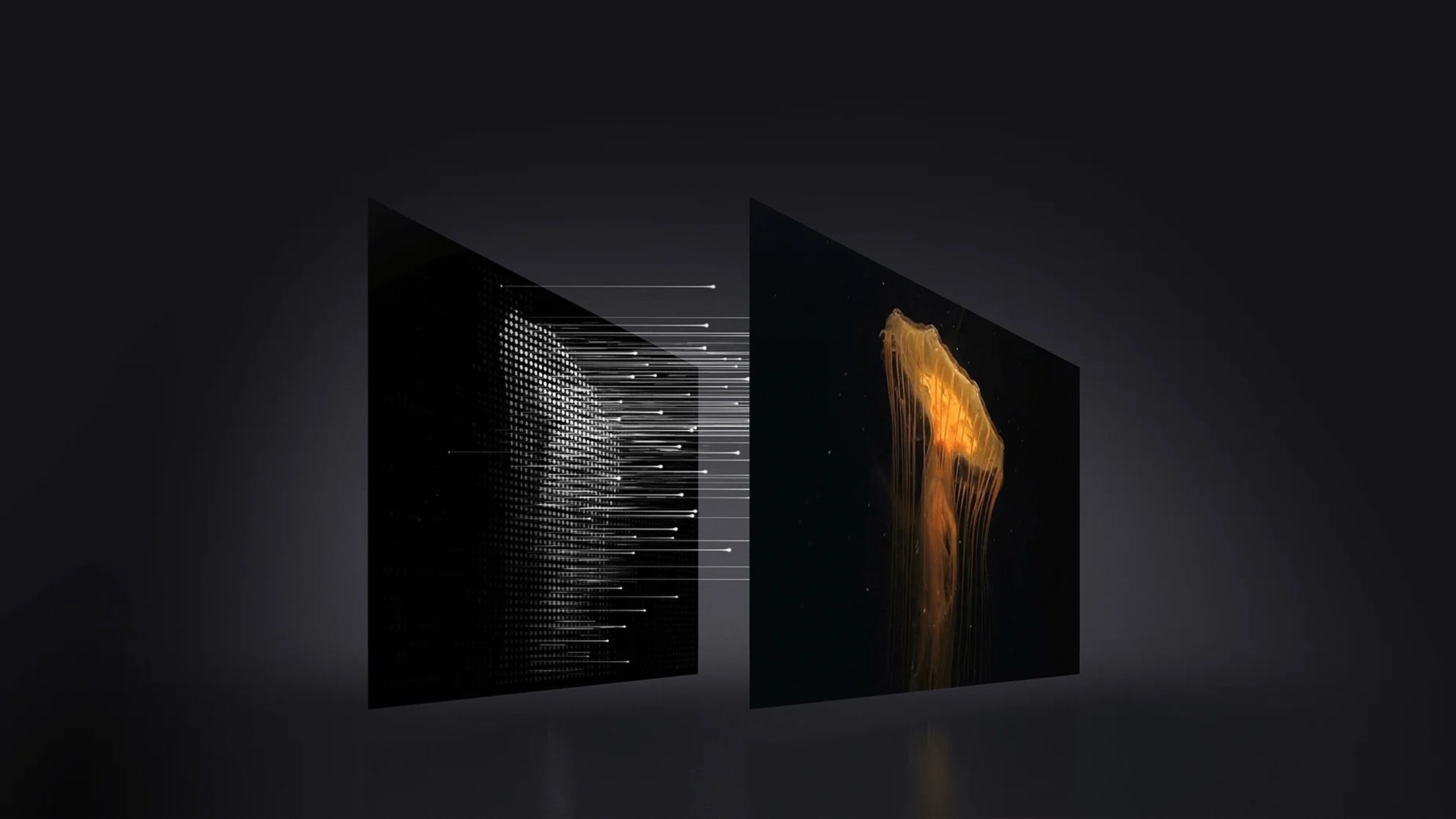 Xiaomi Smart Display Max 86 inch ra mắt tại Việt Nam, giá từ 29,99 triệu đồng