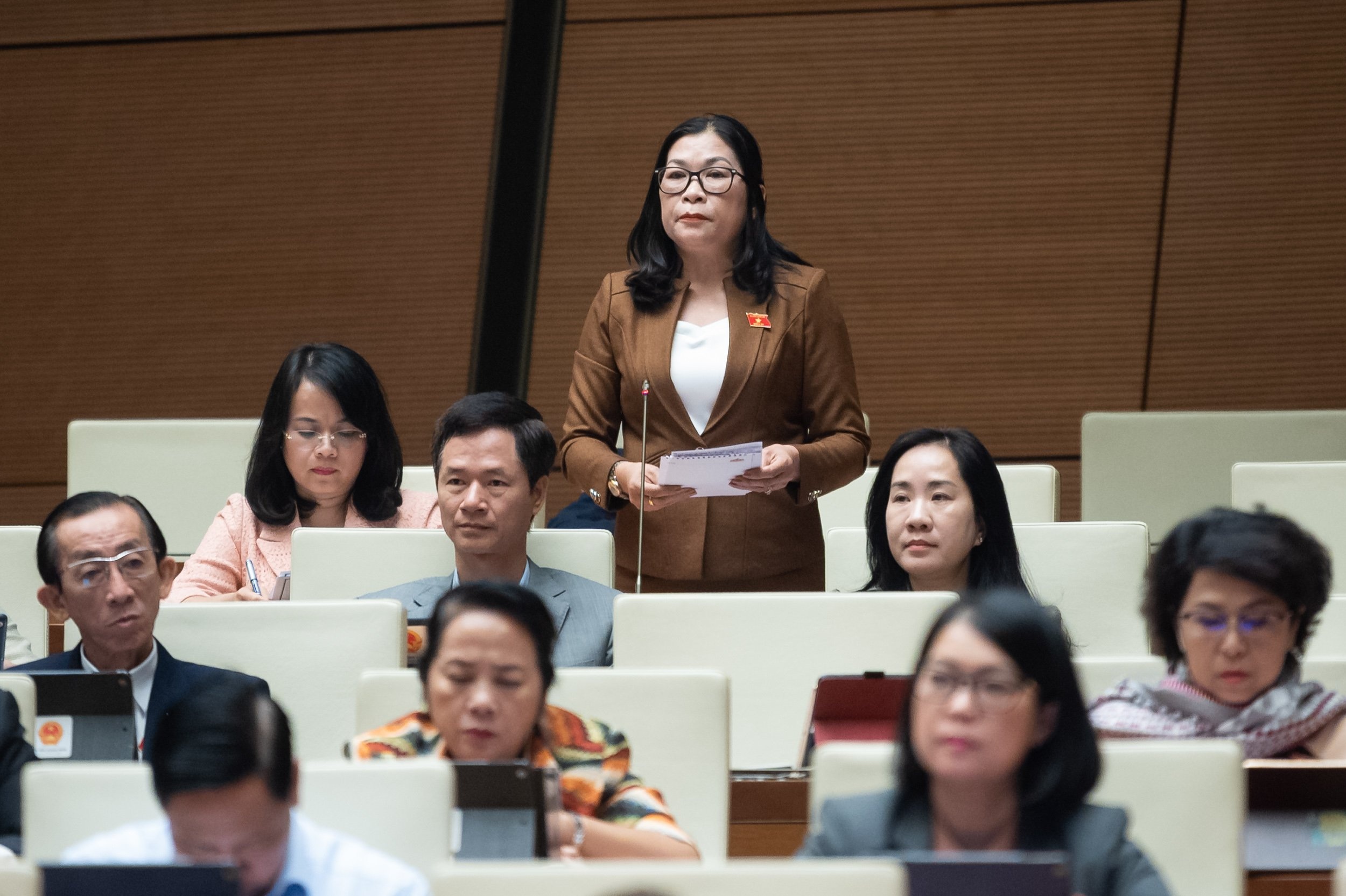 Đại biểu Bố Thị Xuân Linh Đại biểu Bố Thị Xuân Linh