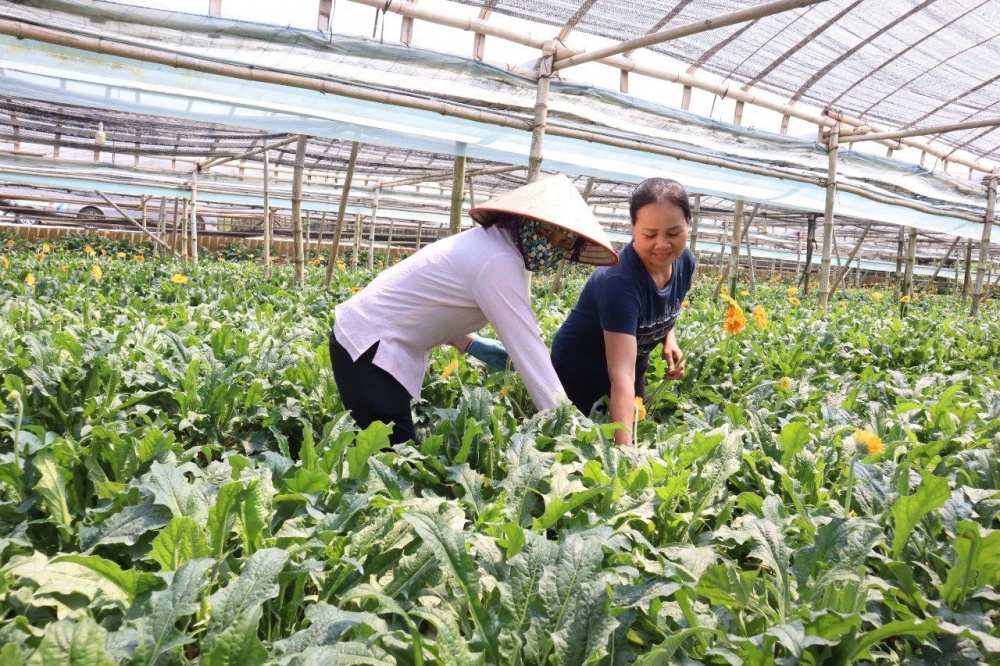 Đồng Tháp: Phấn đấu tăng trưởng tín dụng 13% trong năm 2023 Đồng Tháp: Phấn đấu tăng trưởng tín dụng 13% trong năm 2023