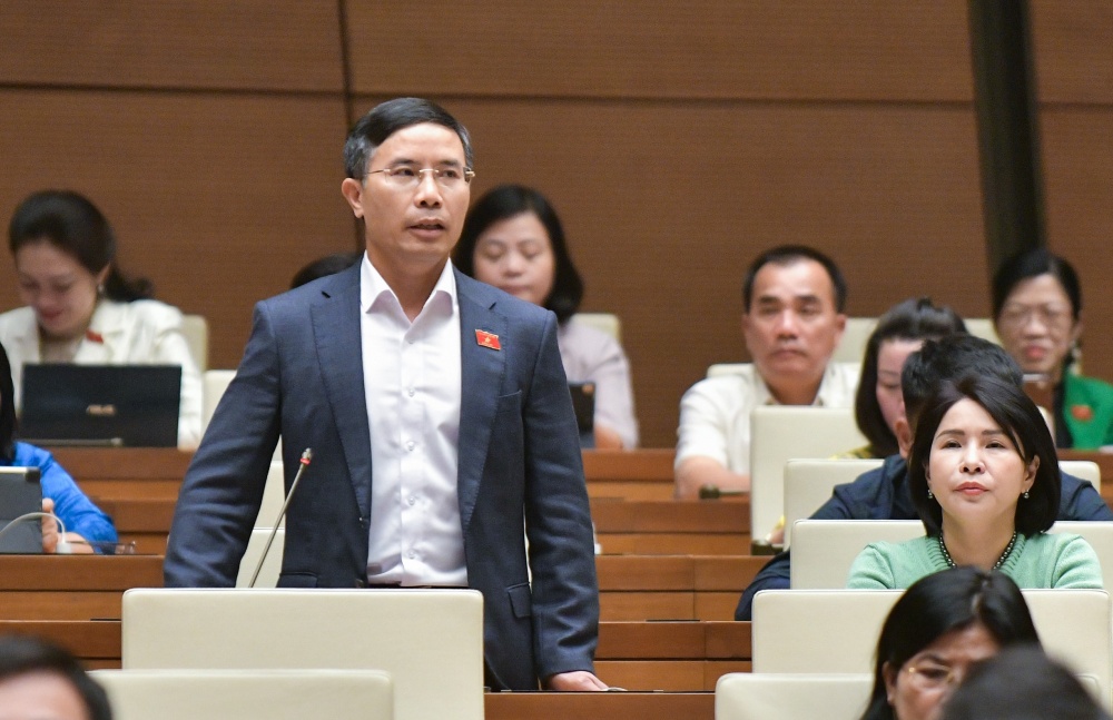 Luật Đấu giá tài sản (sửa đổi): Phải loại bỏ được thông thầu, quân xanh, quân đỏ