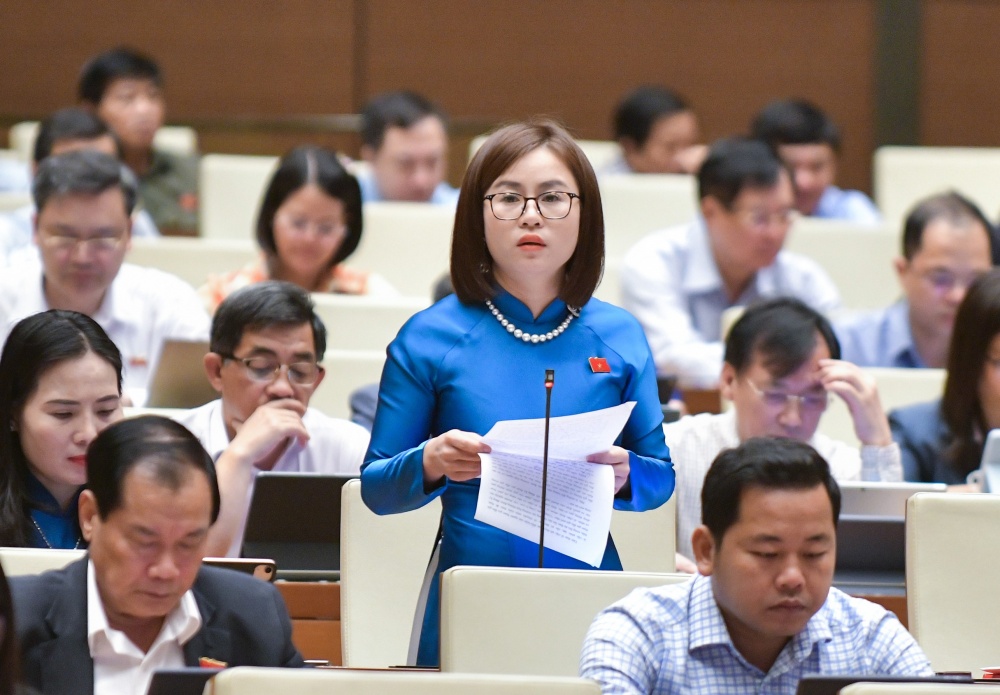 Luật Đấu giá tài sản (sửa đổi): Phải loại bỏ được thông thầu, quân xanh, quân đỏ