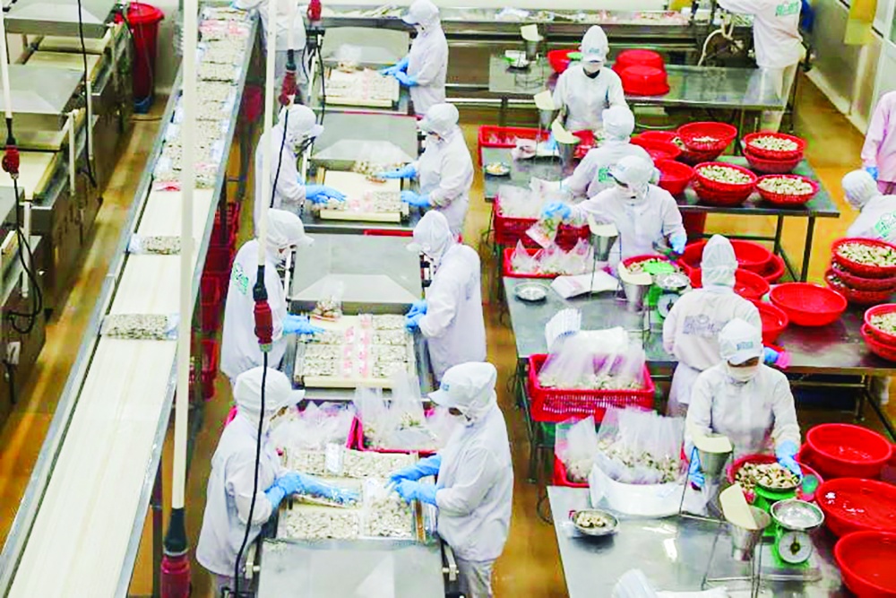 Agribank đồng hành và kịp thời sẻ chia khi khách hàng gặp khó khăn, hỗ trợ hoạt động sản xuất, kinh doanh của khách hàng hiệu quả và từng bước phục hồi