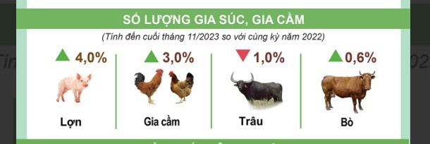 Nông nghiệp tháng 11: Khai thác thủy sản giảm nhẹ, chăn nuôi gặp khó khăn
