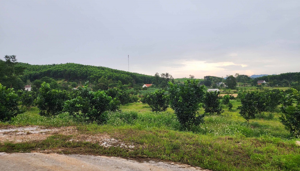 tín dụng với người chấp hành xong án phạt tù tín dụng với người chấp hành xong án phạt tù