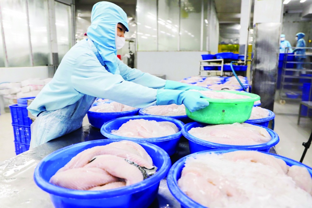 Lãi suất cho vay thấp giúp giảm bớt chi phí tài chính, hỗ trợ doanh nghiệp xuất khẩu thủy sản có hợp đồng trở lại trong những tháng cuối năm 