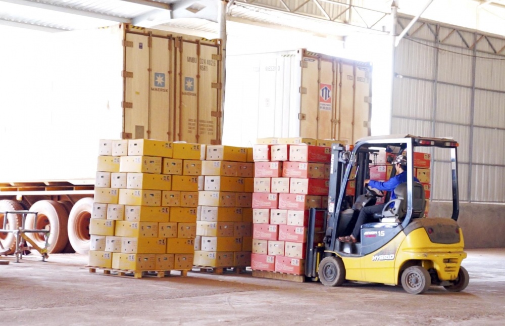 do tác động từ khó khăn chung của nền kinh tế, cầu tín dụng tại địa bàn giảm mạnh, nhu cầu vay vốn mở rộng sản xuất kinh doanh và tiêu dùng của khách hàng đang chững lại.. do tác động từ khó khăn chung của nền kinh tế, cầu tín dụng tại địa bàn giảm mạnh, nhu cầu vay vốn mở rộng sản xuất kinh doanh và tiêu dùng của khách hàng đang chững lại..