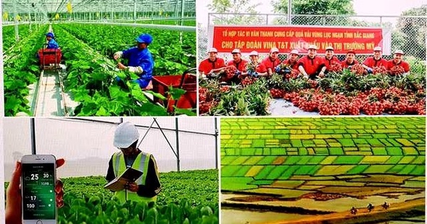 đại hội có 1.000 đại biểu chính thức đại diện cho hơn 10 triệu hội viên, nông dân của cả nước