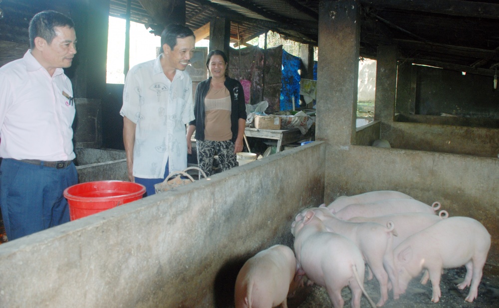 Đà Nẵng: 100% hộ nghèo có nhu cầu vay vốn đều được giải quyết Đà Nẵng: 100% hộ nghèo có nhu cầu vay vốn đều được giải quyết